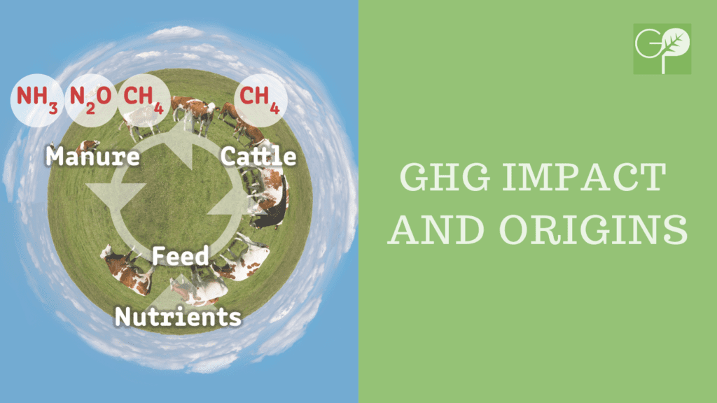 GHG Impact and Origins