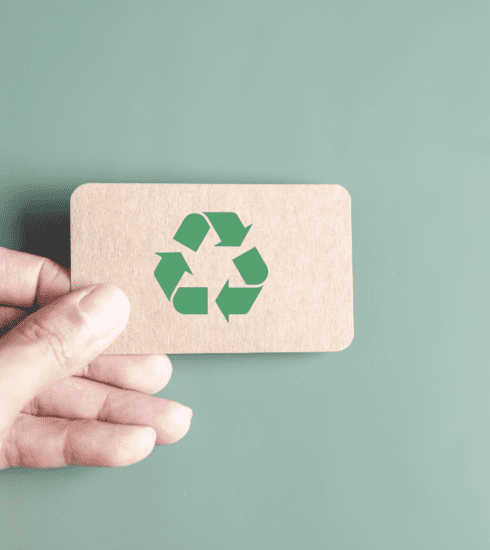 Greener Choices: Sustainable Brands