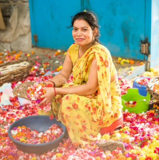 Sustainable Brands - Phool