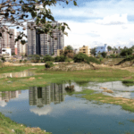 Biodiversity - Sustainable Future