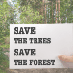 Save The Trees, Save The Forest