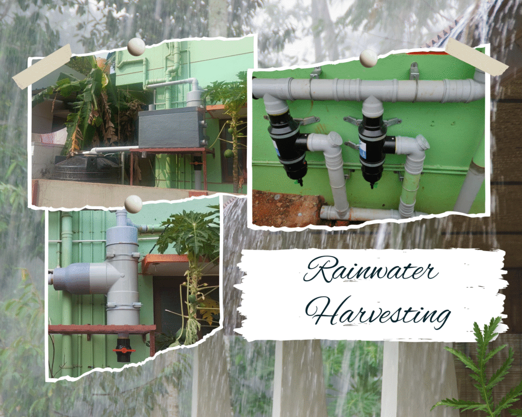 Rainwater Harvesting Collage