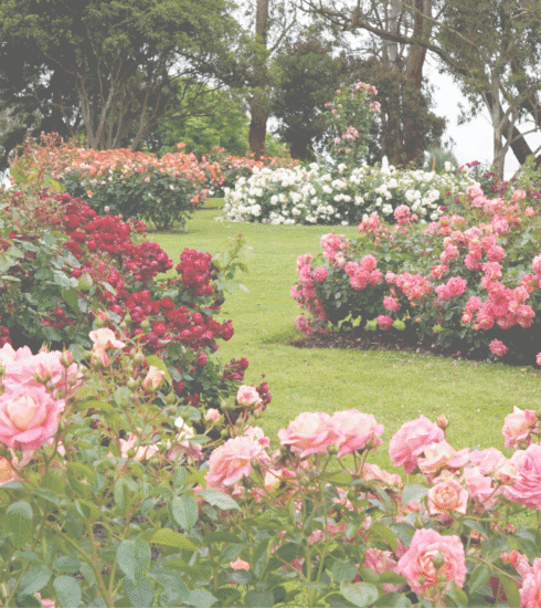 Gardening