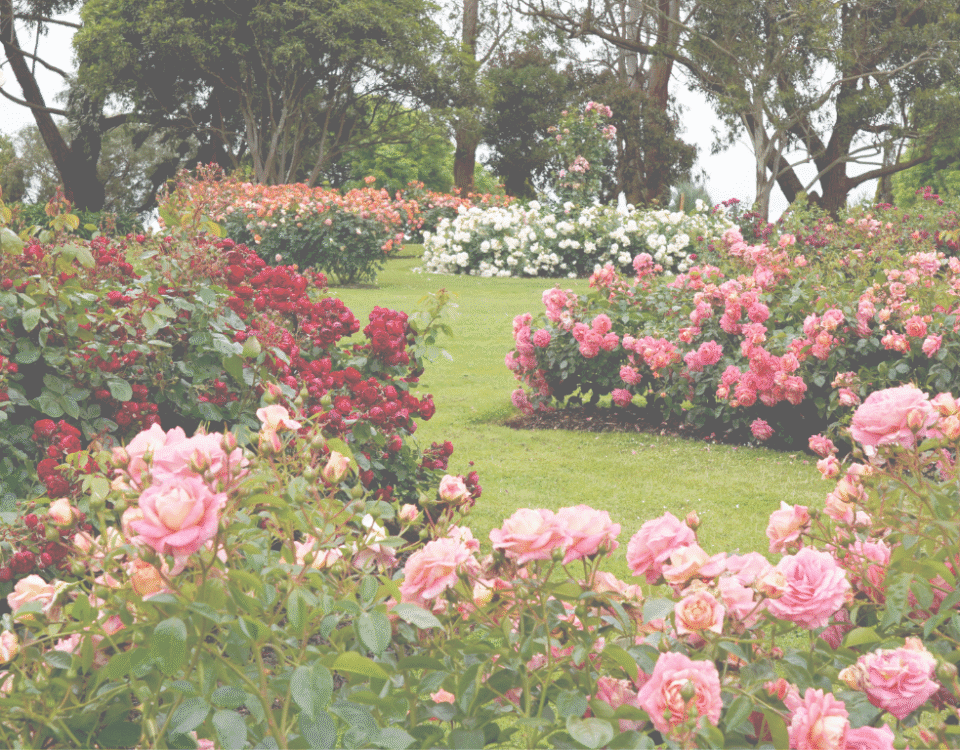 Gardening
