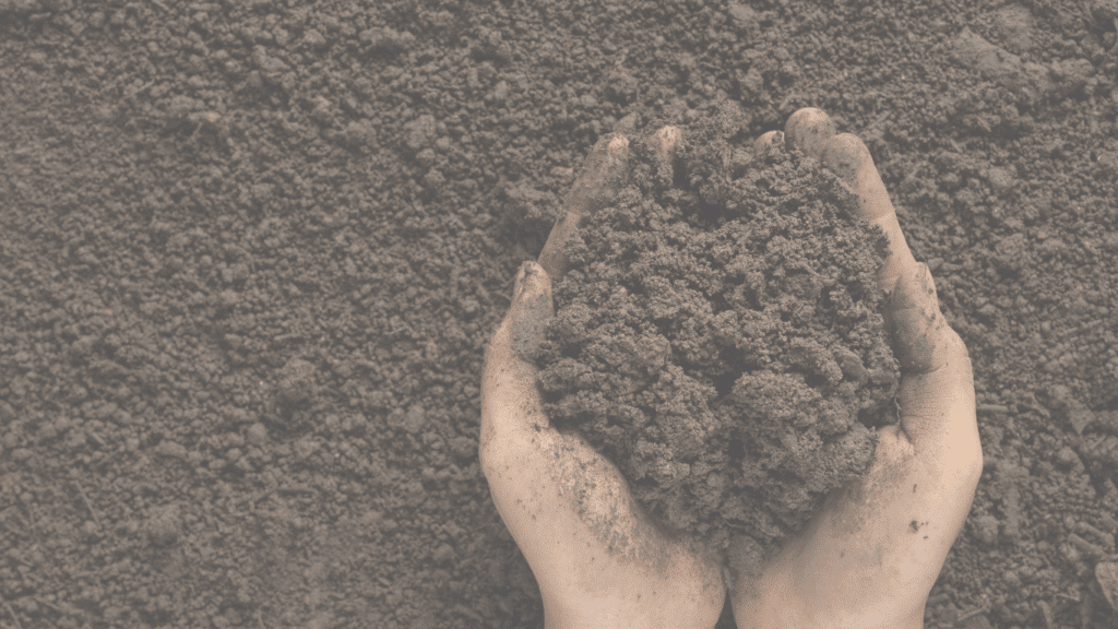 Gardening Soil