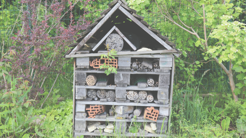 Insect Hotel