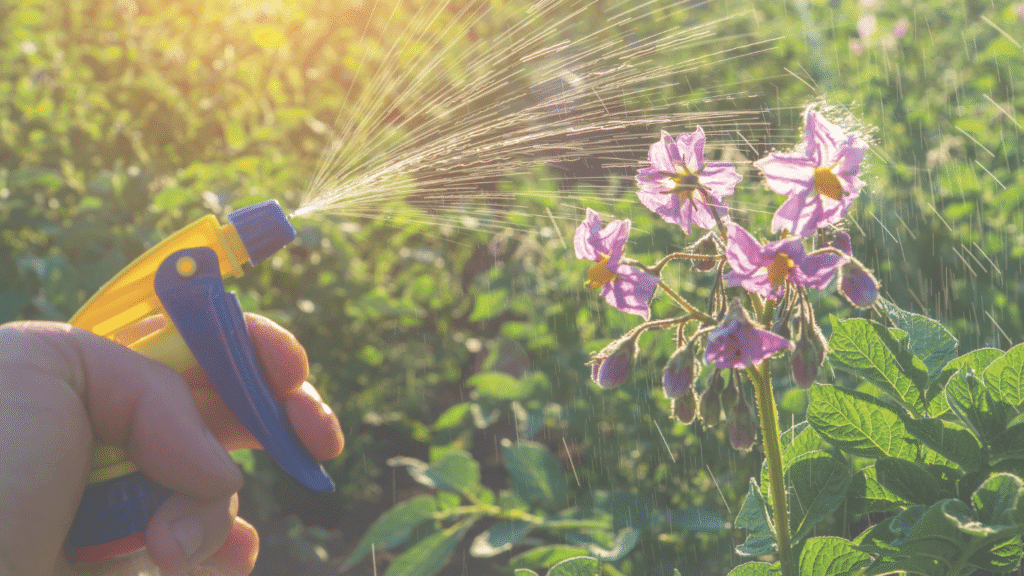 Natural Pest Repellents