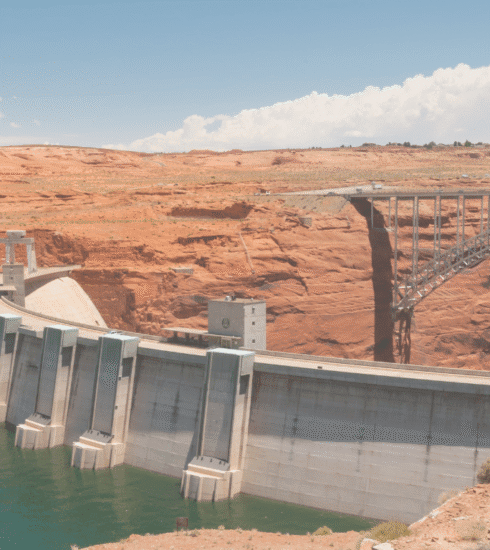 Dam and Forest