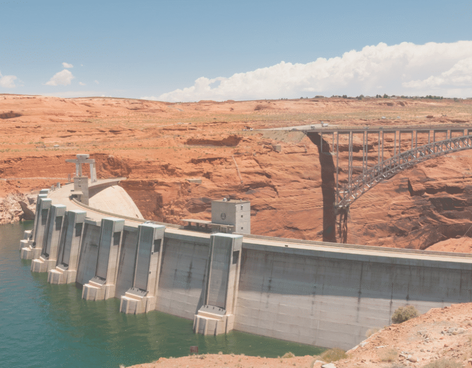 Dam and Forest