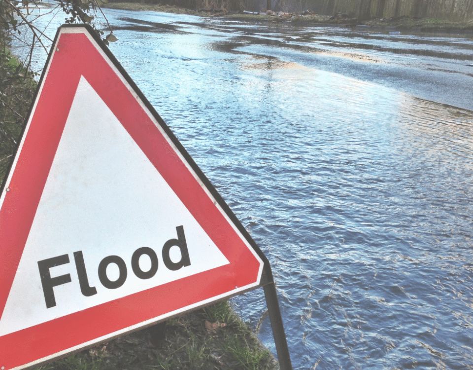 Monsoon Floods