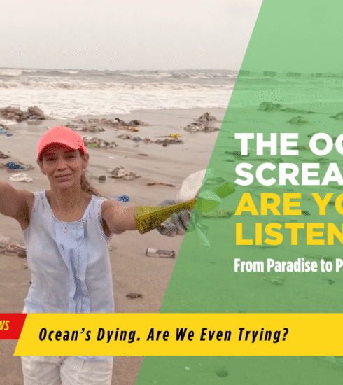 Oceans Protection