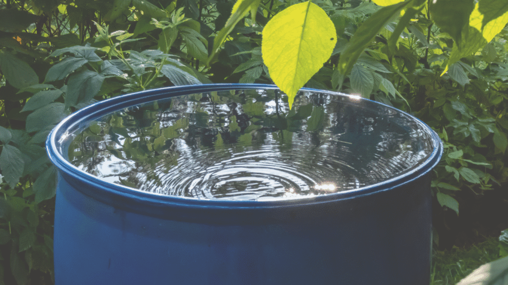 Water Reuse