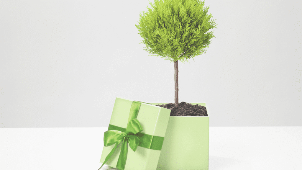 Green Gifting