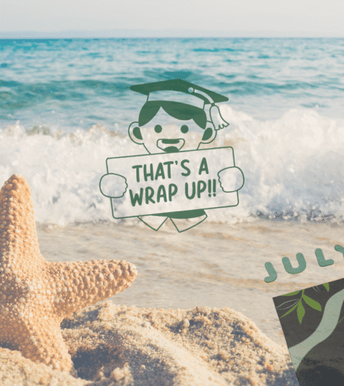 Plastic Free July Wrap Up