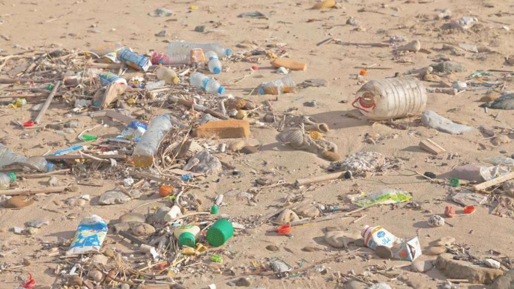 Plastic Pollution