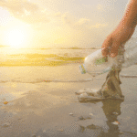 The Great Beach Cleanup