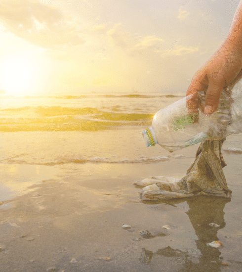 The Great Beach Cleanup