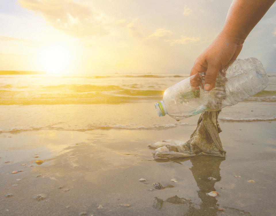 The Great Beach Cleanup