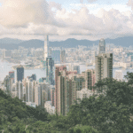 Urban Afforestation