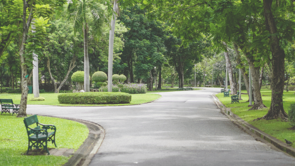 Urban Afforestation Example