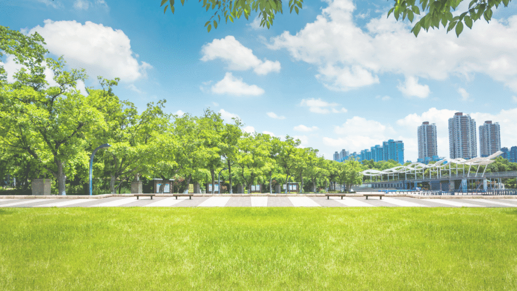 Urban Afforestation Starts Here