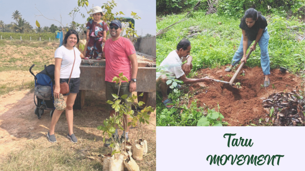 Urban Tree Planting