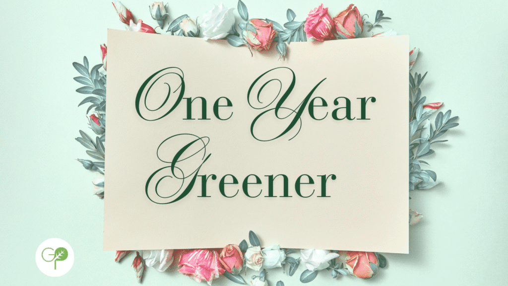 Newsletter August 2025