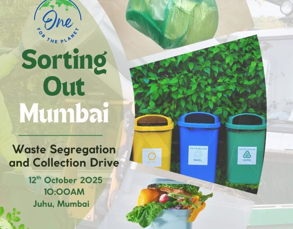 Sorting Out Mumbai - Waste Segregation Drive