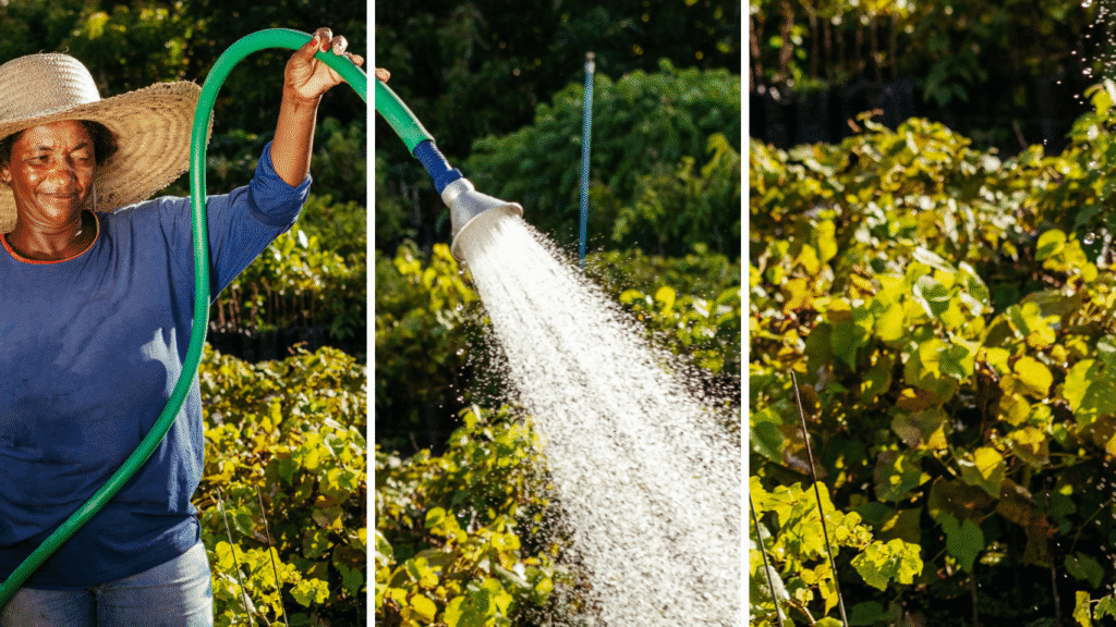 wastewater recycling - Individual Actions