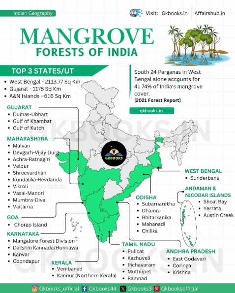 Mangrove Cover in India
