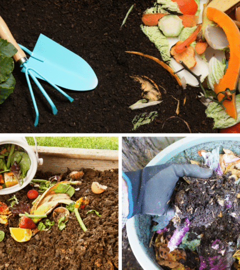 showcasing how we can compost using waste