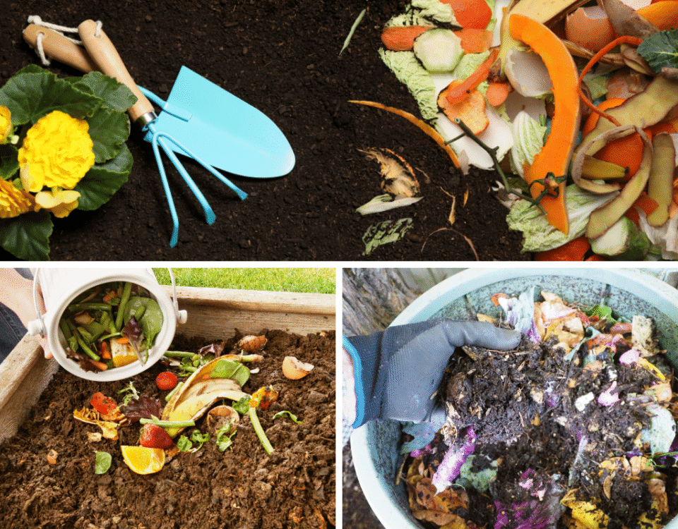 showcasing how we can compost using waste