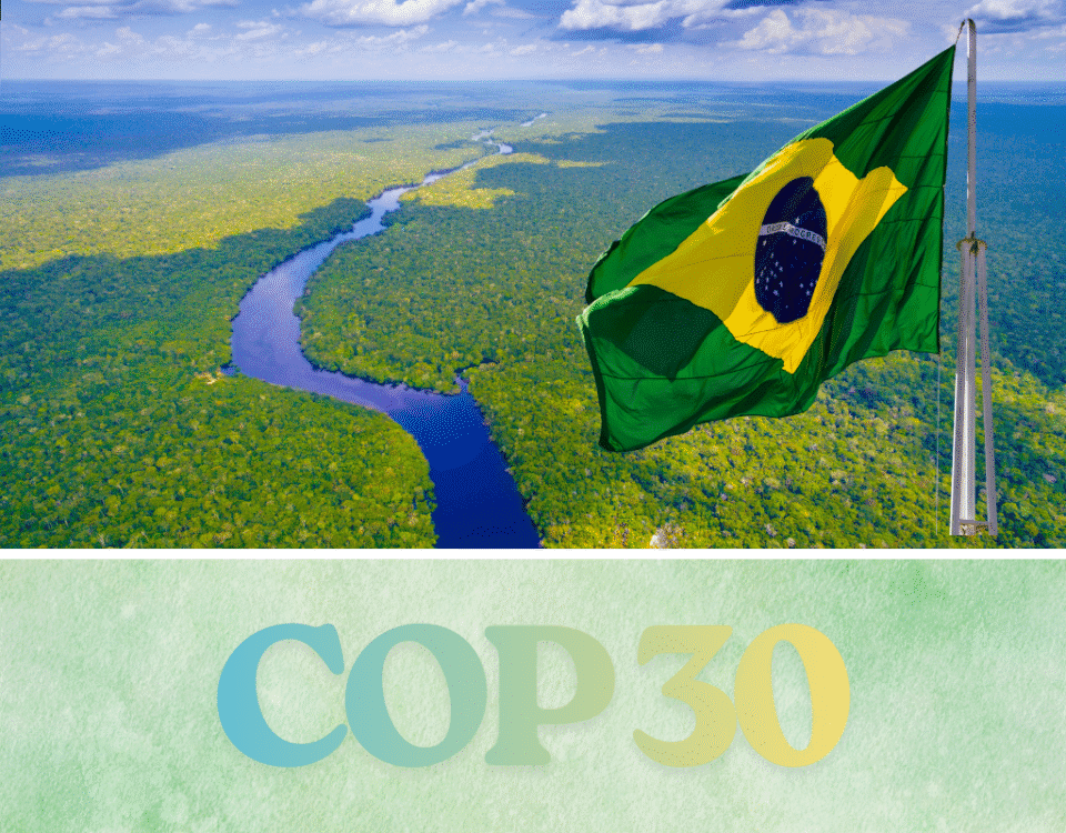 cop30 highlights about climate crisis