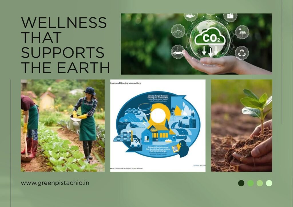 Benefits of Millet for the Planet