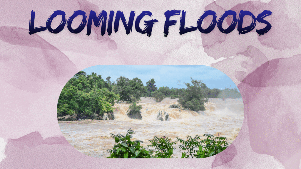 Fast-rising floodwaters surge through a forested river landscape, illustrating coastal and inland flooding risks intensified by the loss of natural barriers like mangroves.