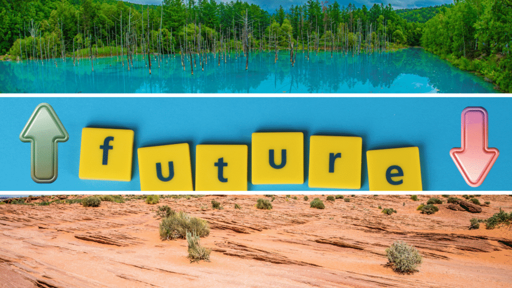Split visual contrasting a healthy water-rich ecosystem with a dry, degraded landscape and the word “future” between arrows highlighting how environmental choices today, including mangrove protection or loss, shape the future of ecosystems and communities.