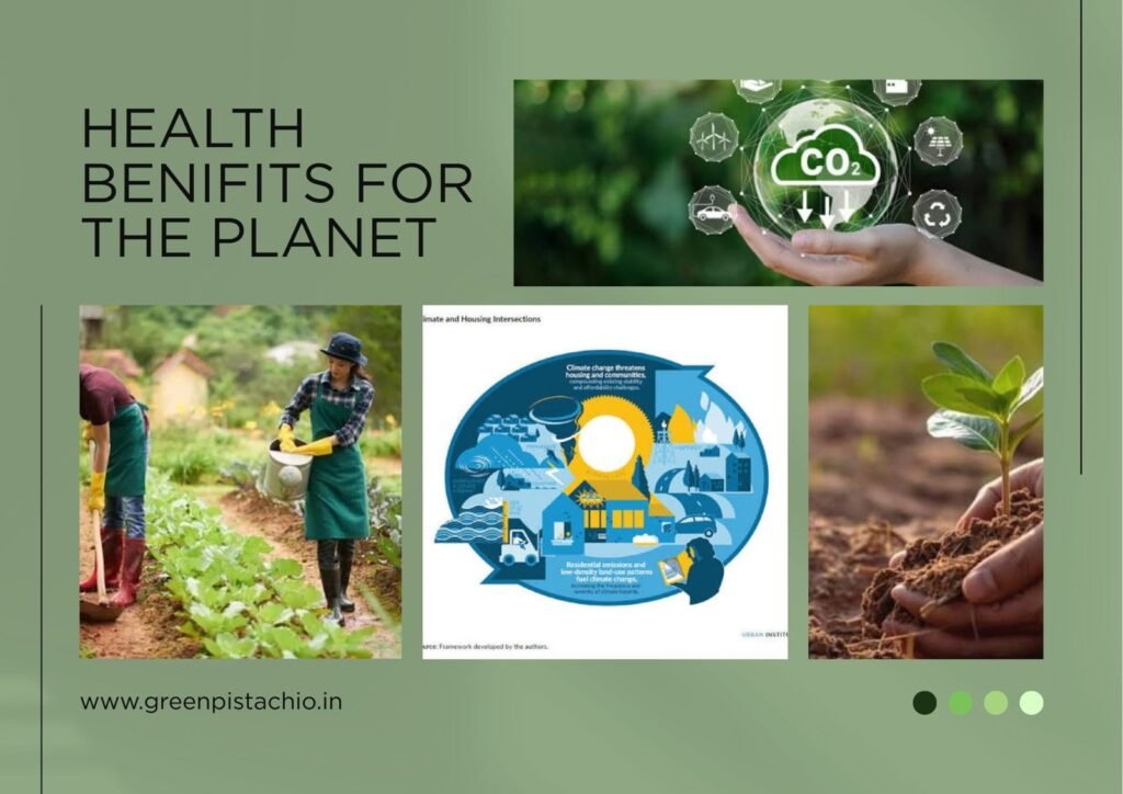 Sustainable agriculture and environmental benefits of millets highlighting low carbon footprint and climate-friendly farming