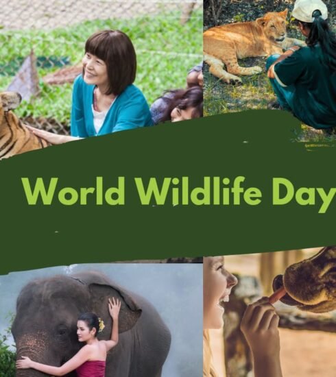 World Wildlife Day