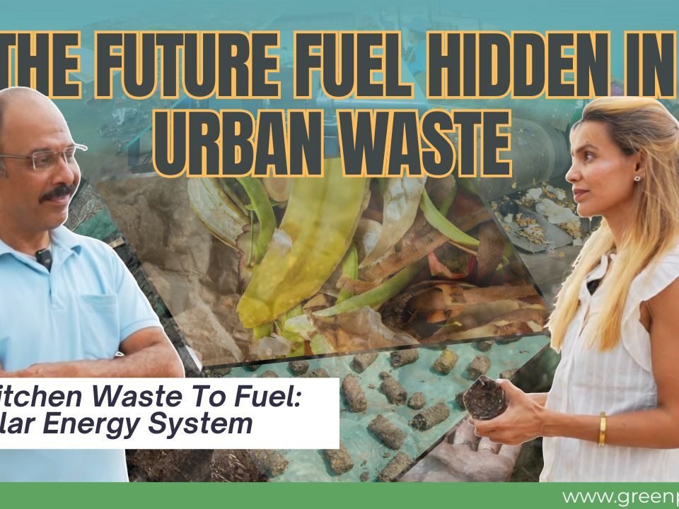 Affordable Biomass Briquettes