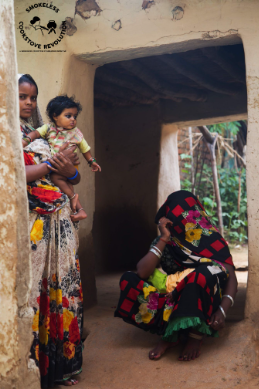 Smokeless Cookstove Foundation archives