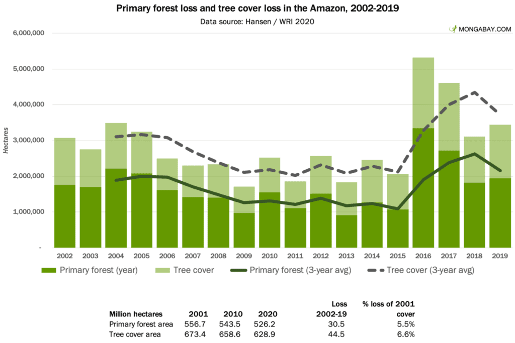 Forest Loss and Tree Cover loss in Amazon 2002-2019